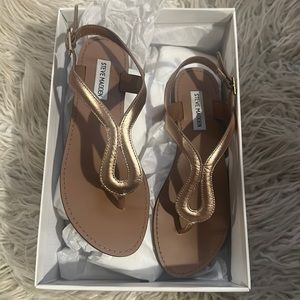 NWT Steve Madden Sandal